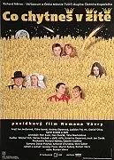 Co chytneš v žitě