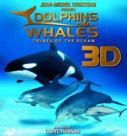 Delfíni a velryby 3D: tuláci oceánů