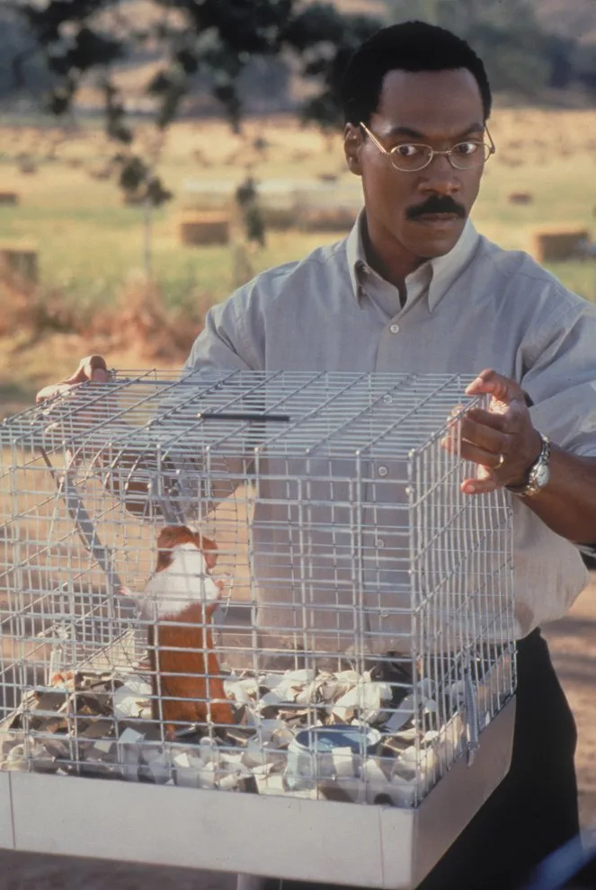 Dr. Dolittle