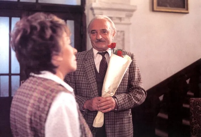 Jedna kočka za druhou