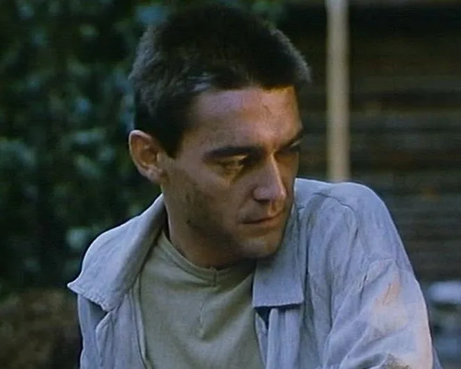 Křížová vazba