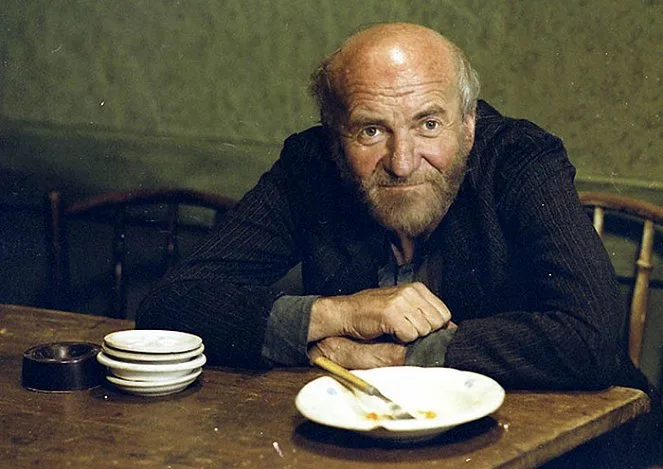 Stín kapradiny