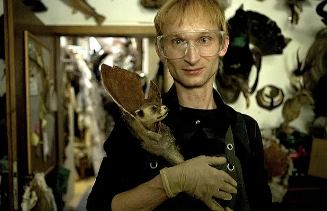 Taxidermia